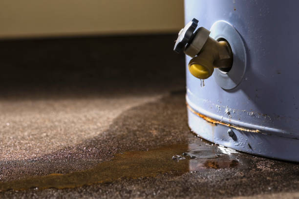 Best Professional water damage repair  in Prairie Village, KS