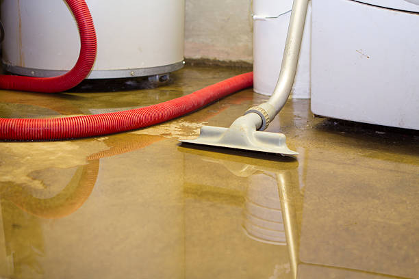 Best Local water damage restoration  in Prairie Village, KS